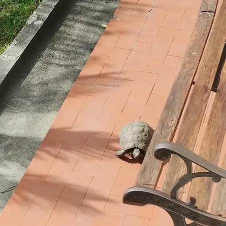 Il Poggetto Rapallo
